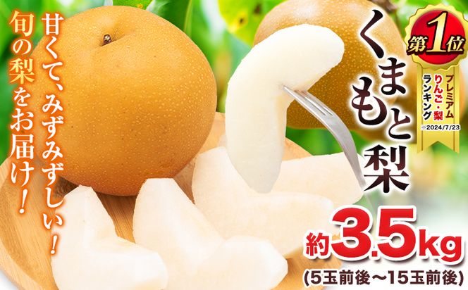 【2025年 先行予約 】 梨 くまもと梨 梨 秋 旬 なし 幸水 豊水 先行 果物 くだもの フルーツ ナシ 梨 先行予約 送料無料 あきづき 甘太 新高 新興 約3.5kg 5玉～15玉前後 熊本県産【着日指定不可】《2025年8月下旬‐11月中旬頃より順次発送》旬 果物 お取り寄せ---fn_cngsnasi_h811_r7_10500_3500g---