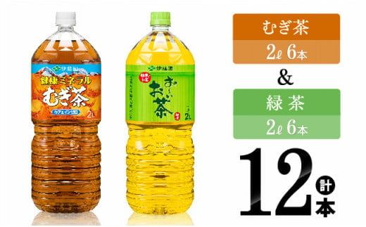 伊藤園 むぎ茶(2L)&緑茶(2L)(PET)12本 [伊藤園 飲料類 お茶 麦茶 緑茶 PET セット 詰め合わせ 飲みもの] [D07368]