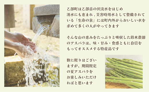 【予約受付中！7月中旬頃発送予定】＜北海道産 夏採れグリーンアスパラ 2㎏＞シャッキリみずみずしい味わい！！