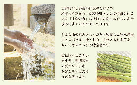 ＜北海道産 夏採れグリーンアスパラ 2㎏＞シャッキリみずみずしい味わい！！ 北海道 北海道産 国産 産地直送 乙部町 旬 新鮮 農家直送 あすぱら アスパラガス 野菜 冷蔵配送 L以上 お取