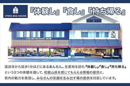 boxes No.1 紀州備長炭パウンドケーキ 9個入り 有限会社あんちん 《90日以内に出荷予定(土日祝除く)》 和歌山県 日高川町 パウンドケーキ 洋菓子 備長炭 スイーツ---wshg_antbox_90d_22_14000_9c---