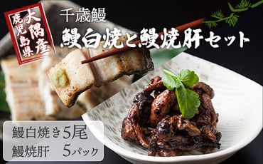 鹿児島県大隅産　千歳鰻の白焼き鰻　5尾・鰻焼肝セット【CH94】