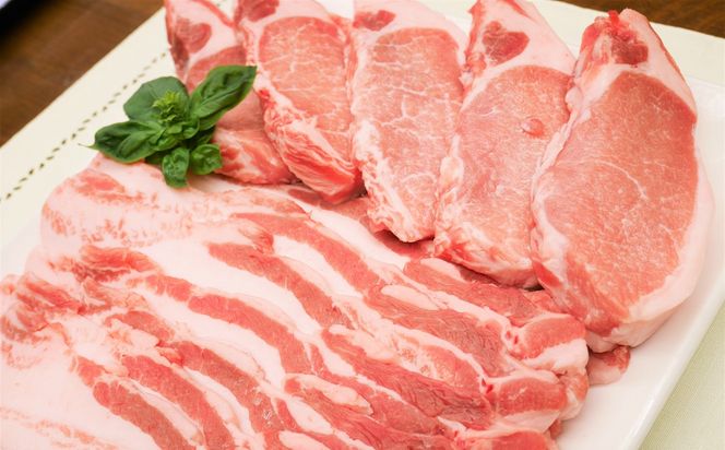 ブランド豚 “三州あおみ豚” ギフトセット 計1.3kg（ロース肉650g＆豚バラ650g） 豚肉 冷凍 H030-012