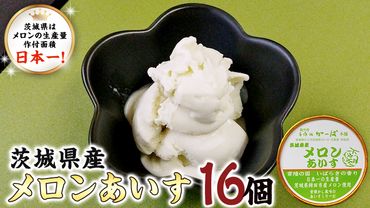 茨城県産メロンあいす 16個 アイス デザート めろん 贈り物 カップ 冷凍 [AE022us]