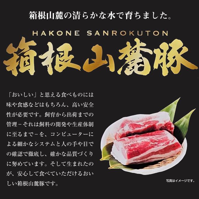 169-2575　【定期便12ヵ月】箱根山麓豚　モモ・ウデ切り落とし３K盛り(500ｇ×６パック)【 箱根山麓豚 切り落とし 神奈川県 小田原市 】