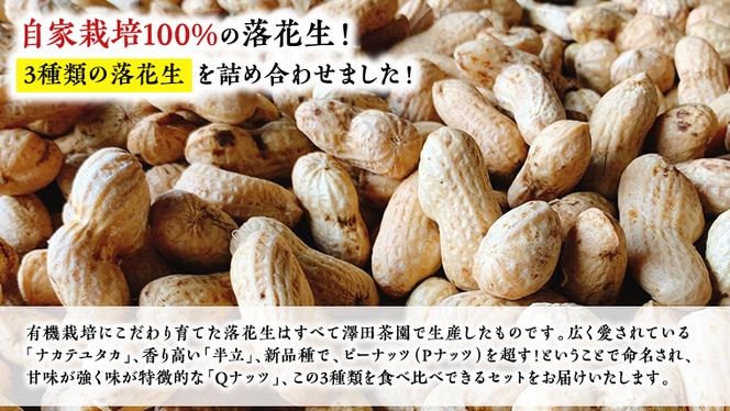 牛久市産 落花生 3種 食べ比べ9袋セット ピーナッツ ピーナツ ナカテユタカ 中手豊 Qナッツ Qなっつ 半立 はんだち 食べ比べ 農園 自家栽培 有機栽培 おやつ おつまみ お菓子 お取り寄せ 詰め合わせ セット お土産 贈り物 ギフト プチギフト 国産 茨城 特産品 ビールのお供 [AX002us]