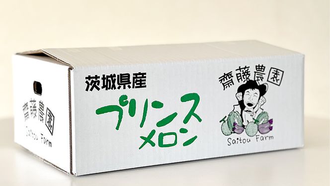 農家直送 プリンスメロン 1箱 約5kg ( 7～8玉入り ) 【 2026年5月下旬以降発送 】【 先行予約 】 期間限定 産地直送 果物 フルーツ メロン 甘い [CM002ya]