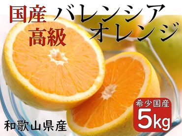 希少 高級 バレンシアオレンジ 5kg 和歌山県産 武内園  【先行予約】	BA39