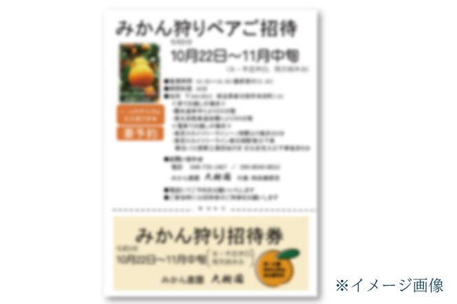 【先行予約】【10月中旬より発送開始】みかん狩り　ペア招待券（お土産付き）【埼玉県 春日部市 ふるさと納税 観光 農業体験 レジャー 予約 チケット カップル シニア おでかけ】（CH001-1）