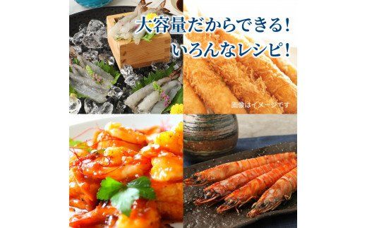 鮮度抜群！活き〆冷凍車海老（1.17kg）_29004C