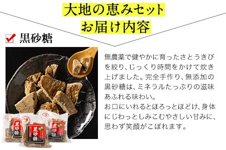 青葉の会 大地の恵みちょいといっぷくセット《30日以内に出荷予定（土日祝除く）》黒砂糖 秘伝だれ---gkt_aob_1_ipkset---