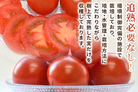 予約受付＜国富町産 完熟ミディトマト「フルティカ」1.5kg＞2025年1月上旬～5月下旬迄に順次出荷【 トマト 新鮮 野菜 先行予約 農家直送 季節物 数量限定 季節限定 サラダ 1.5キロ 】【b0727_sn】