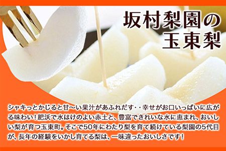 坂村梨園 玉東梨 熊本県玉名郡玉東町 約5kg(5～18玉前後) 梨 なし 果物 旬の梨 《8月中旬-11月上旬頃出荷》豊水 秋麗 あきづき 甘太 新高 新興---sg_cmuranashi_g811_r8_14500_5kg---