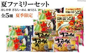 CD209【夏季限定】夏ファミリーセット（全5種2袋）［ 詰め合わせ 冷やし中華 ラーメン 皿うどん らーめん 麺 めん たれ スープ ごまだれ 長崎県 島原市 ］
