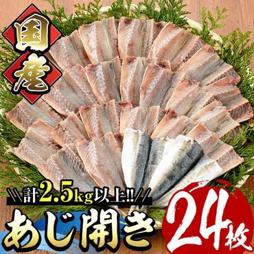 国産あじ開き(24枚・計2.5kg以上)干物 鯵 セット 魚 魚介類 簡単 調理 冷凍【E-18】【水永水産】