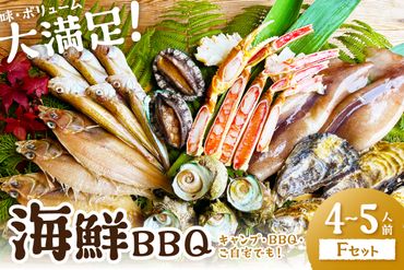 大満足！京丹後・海鮮BBQ　Fセット　豪華盛り合わせ　生ズワイガニ　アワビ付　7種23品（4～5人前）　YK00147