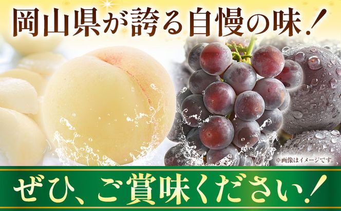 岡山産白桃とピオーネの詰合わせ もも 桃 白桃 葡萄 ブドウ ぶどう ピオーネ フルーツ セット 令和6年産先行予約 《7月上旬-8月上旬頃出荷(土日祝除く)》  晴れの国おかやま館 フルーツ 果物 果実 岡山県 笠岡市---A-109b---