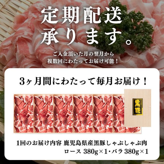 【定期便全3回】鹿児島県産黒豚＜ロース・バラ＞(計2.28kg/380g×2P×3回) t0045-008