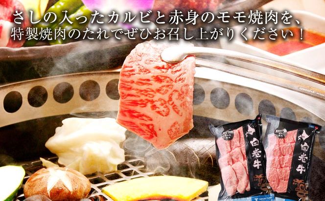 白老牛 焼肉 霜降り カルビ＆モモ セット 合計400ｇ（各200ｇ）特製焼肉のたれ付き 和牛 ＜徳寿＞ BJ059