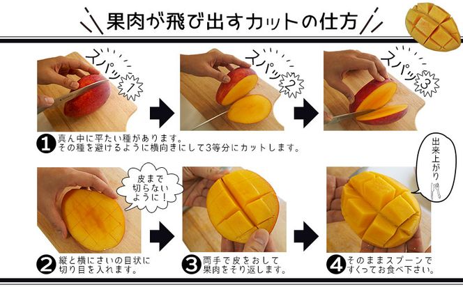 【先行受付】【2026年発送】生産組合が育てるアップルマンゴー約2kg（家庭用）- 先行予約 沖縄県産 産地直送 南国フルーツ 旬の味覚 季節の果物 ご自宅用 沖縄マンゴー 沖縄県 八重瀬町