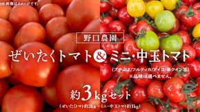 野口農園 ！ ぜいたく トマト ＆ ミニトマト ＆ 中玉 セット （合計 約 3 kg ） トマト ミニトマト プチぷよ フルティカ アイコ 華クイン 新鮮 美味しい 野菜 [J005-NT]
