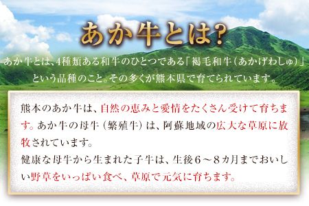 ローストビーフ 牛肉 ブロック 赤身 あか牛 送料無料 《30日以内に出荷予定(土日祝除く)》熊本県産 熊本 国産牛 500g ローストビーフ丼 牛肉 サンドイッチ 牛肉 国産牛 あか牛 ローストビーフ 500g---ng_frstbf_30d_23_18000_500g---