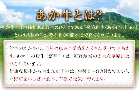 熊本県産あか牛ローストビーフ500g×1個《60日以内に出荷予定(土日祝除く)》---hkw_26_lcl_4_500g---