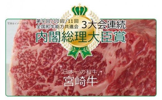 【定期便】 宮崎牛 焼肉食べ比べ 3ヶ月コース [G7430]