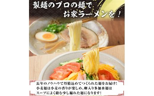 業務用麺 細ラーメン・卵入り多加水ラーメン(合計30袋・2種)ラーメン 拉麺 中華麺  冷やし中華 冷麺 つけ麺 つけめん 個食包装 個包装 小分け 冷凍 【福永食品】akn005-08