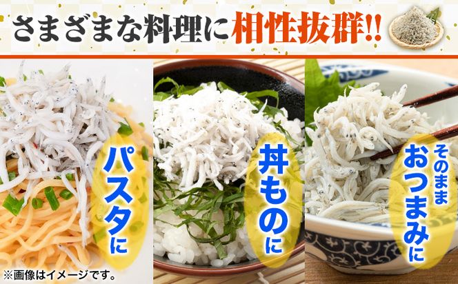 釜揚げ しらす 約600g (約300g×2) 株式会社はし長 《30日以内に出荷予定(土日祝除く)》 和歌山県 日高町 釜揚げ しらす---wsh_fhsn10_30d_23_17000_600g---