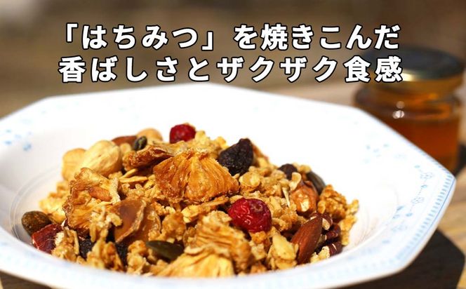 【6回定期便】グラノーラ 無添加 国産はちみつ使用【ノラノーラ ミケ&クロ】ココナッツ・ショコラ（小）2袋セット（100g×2） A-MT-C01A