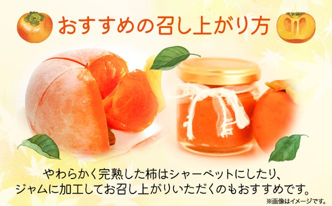 ＊先行予約＊和歌山 秋の味覚 富有柿 約7.5kg 株式会社魚鶴商店《2026年11月中旬-12月上旬頃出荷》和歌山県 日高町 柿 富有柿 フルーツ---wsh_uot199_11c12j_25_25000_75---