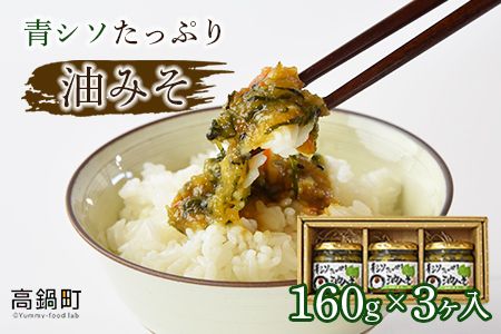 y{茧S璬zV\Ղ݂ 160g×3mFAɏoׁyc844_mz_x2z