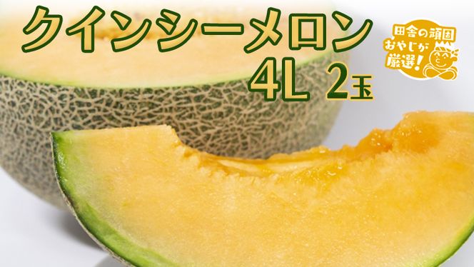 クインシーメロン 4L × 2個 【 令和6年8月より発送開始 】 田舎の頑固おやじが厳選 ！ メロン ギフト 高糖度  大玉 甘い 美味しい フルーツ [BI251-NT]