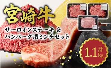 宮崎牛 サーロインステーキ & ハンバーグ用ミンチ セット 合計 1.1kg N0140-ZB241