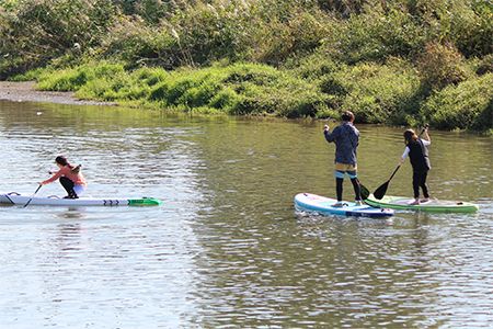 古利根川を「SUP」で水上クルージング 1名様分(小学4年生以上) 【0131】 