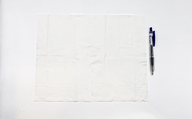 流せるトイレクリーナー　24個入り