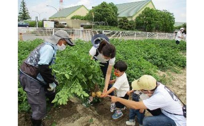 【旬のお野菜・もぎとり体験チケット 4,500円分】何名様でもご利用可能！ 野菜 農業体験 収穫 畑 農園 チケット 体験 プレゼント H025-011