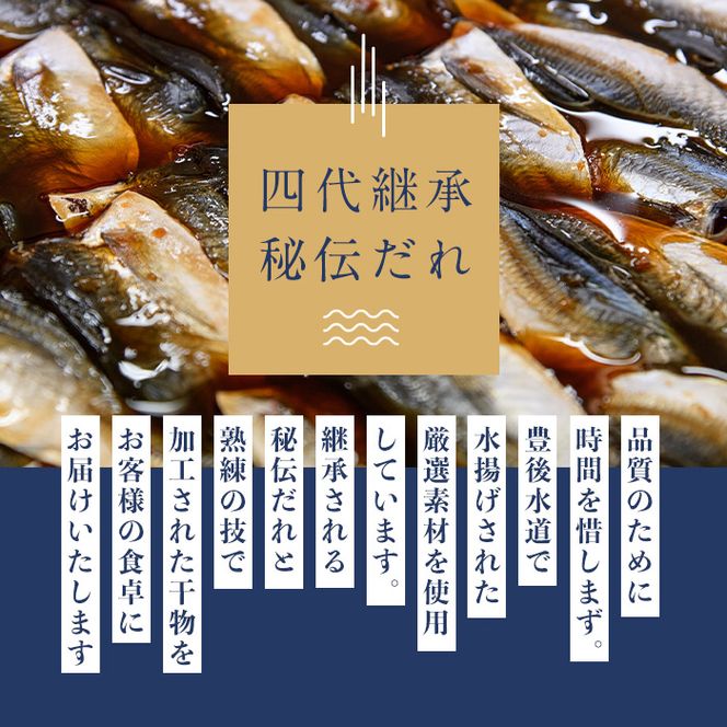 豊後の技と味 干物セット (合計8種・29尾以上) 干物 魚 鯵 アジ 鯖 サバ カマス 鯛 タイ 鰯 イワシ 食べ比べ おかず 国産 詰め合わせ セット 大分県 佐伯市 【FT02】【田辺海産】