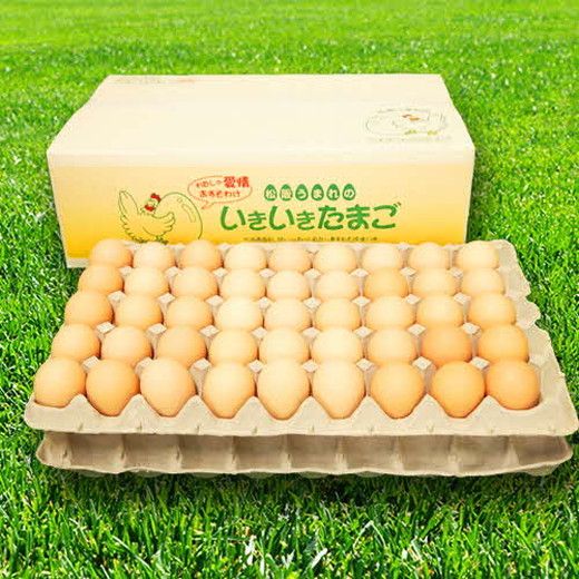【1.2-9】【卵】松阪うまれのいきいきたまご（90個入り（割れ補償含む））