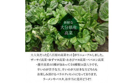 【K06002】八百屋のバラエティ高菜セット 8種16袋