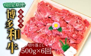 【全6回定期便】【化粧箱入】博多和牛A5〜A4 切り落とし 500g《築上町》【株式会社マル五】[ABCJ112]