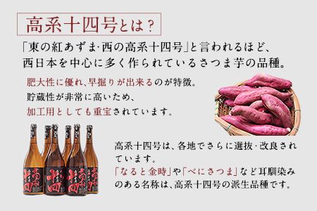 芋焼酎 高系十四 1.8L×2本詰め《60日以内に出荷予定(土日祝除く)》熊本県 大津町産 緒方酒店---so_ogakoke_60d_22_21500_3600ml---