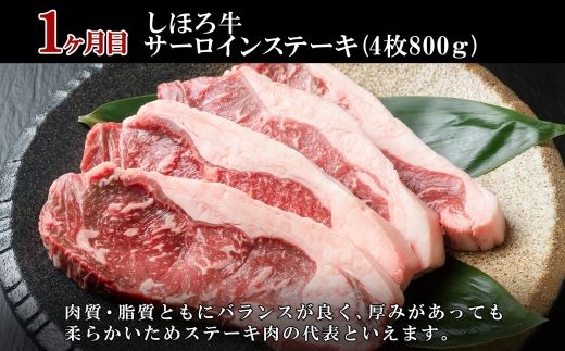 ■定期便■ 北海道 しほろ牛 冬の定期便 全3回 牛肉 サーロイン ステーキ リブロース 肉 牛 赤身肉 国産牛 肉 ビーフ 牛肉 焼肉 冷凍 お取り寄せ 頒布会 送料無料 十勝 士幌町 75000円 【X21】