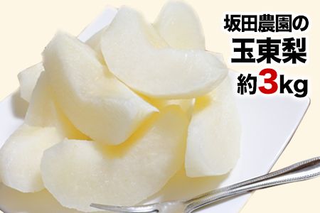 『坂田農園』の玉東梨 約3kg《8月中旬-9月末頃出荷》 熊本県玉名郡玉東町産『坂田農園』なし 果物 スイーツ フルーツ デザート スムージー 熊本県玉東町---sg_csakatanashi_bc8_r8_12000_3kg---