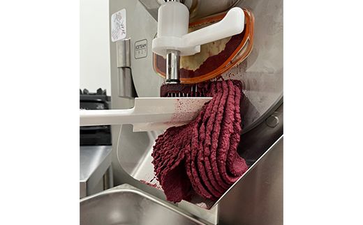 甘酒とブルーベリーのソルベ6個