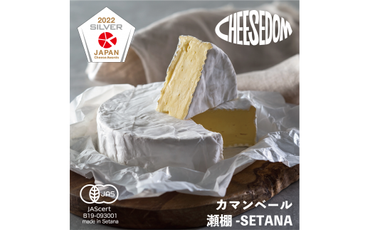チーズダムの瀬棚-SETANA(カマンベールタイプ)　250g×2個【CHEESEDOMのチーズ】
