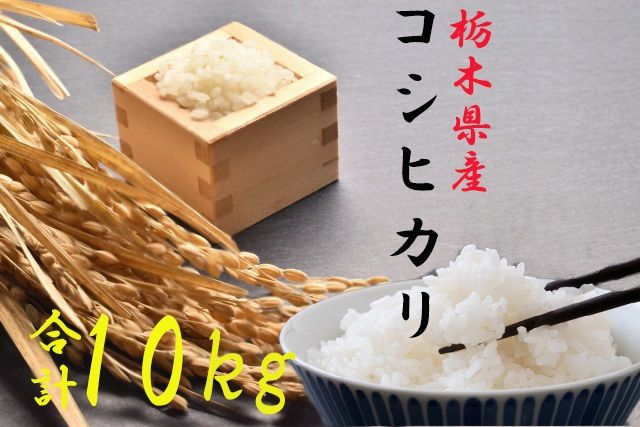 【令和5年度産新米】栃木県さくら市産コシヒカリ精米10kg（精米5kg×2袋） ≪お米 ご飯 美味しい 産地直送 おうちごはん 白米 新米 自宅用≫  ※着日指定不可 ※2023年10月上旬～2024年4月下旬頃に順次発送予定