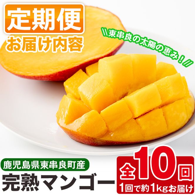【130691】＜定期便・全10回＞鹿児島県産！南国の恵み！完熟マンゴー(1回のお届け1kg・2～3個入り)【甘宮】