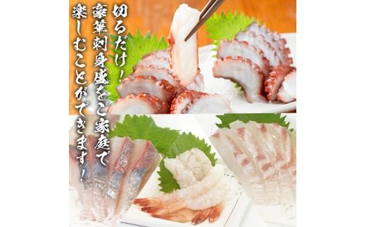 鹿児島県産！お刺身切るだけセット(3人～4人前)国産 刺し身盛 魚貝 魚介 海産物 刺身 蛸 たこ 海老 エビ かんぱち タイ 簡単調理 おつまみ セット 小分け 個包装【さるがく水産】a-12-58-z